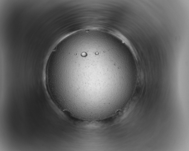 X0000089880811200707121811