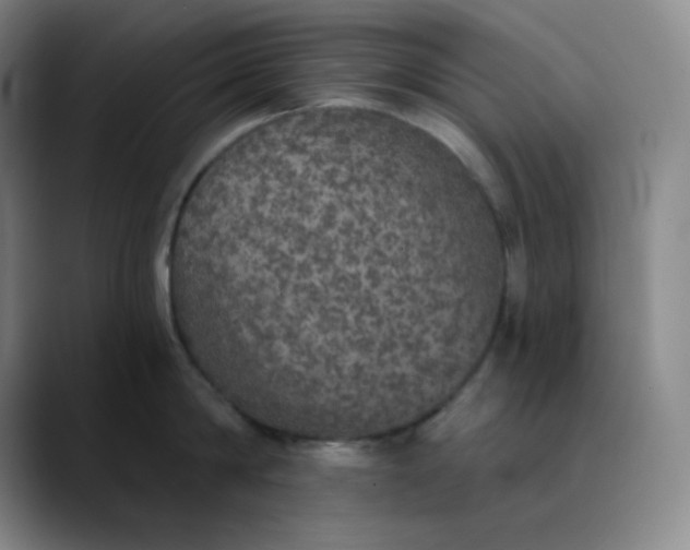 X0000089880814200707121811