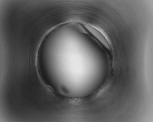 X0000089880815200707121811