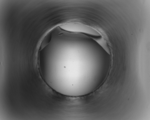 X0000089880816200707121811