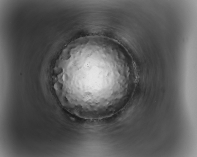 X0000089880817200707121811