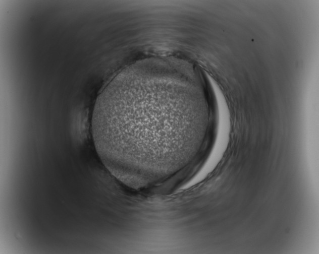 X0000089880818200707121811