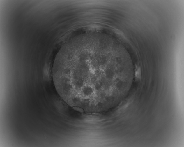 X0000089880819200707121811