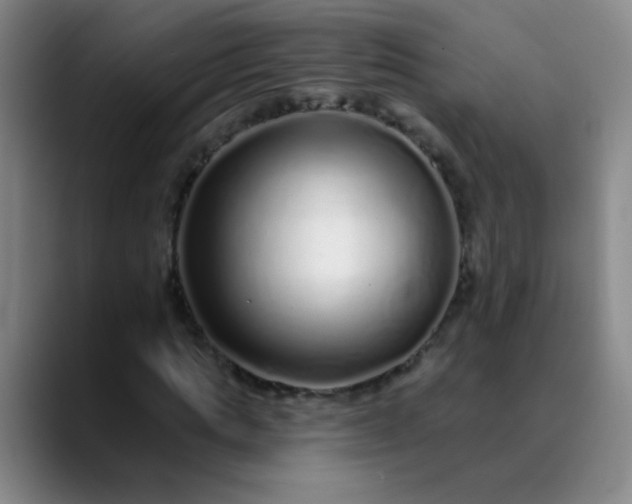 X0000089880821200707121811