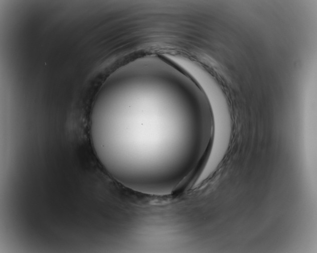 X0000089880822200707121811