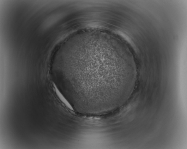 X0000089880823200707121811