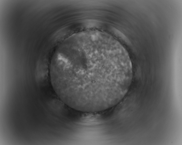 X0000089880824200707121811