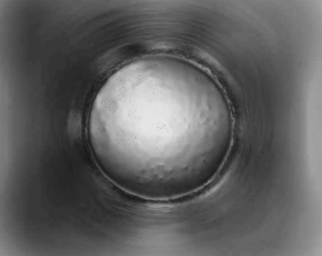 X0000089880825200707121811