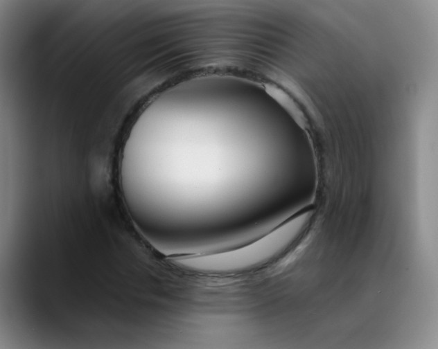 X0000089880826200707121811