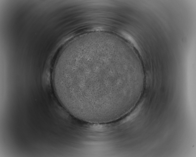 X0000089880827200707121811