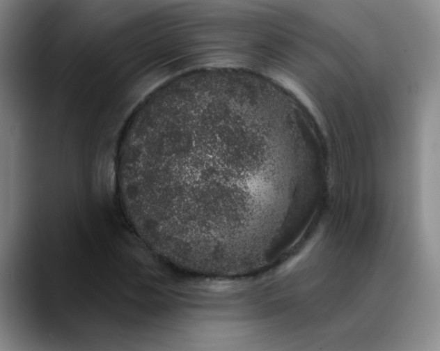 X0000089880829200707121811