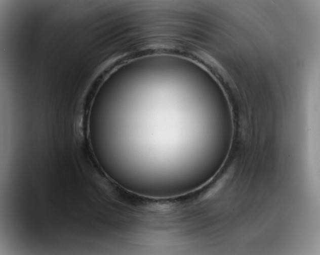 X0000089880830200707121811