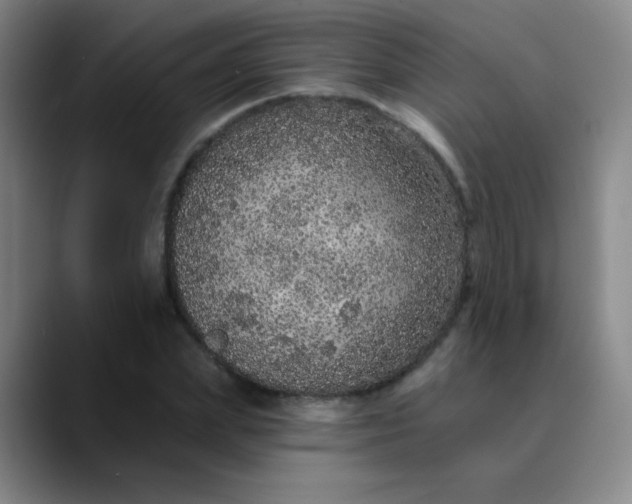 X0000089880831200707121811