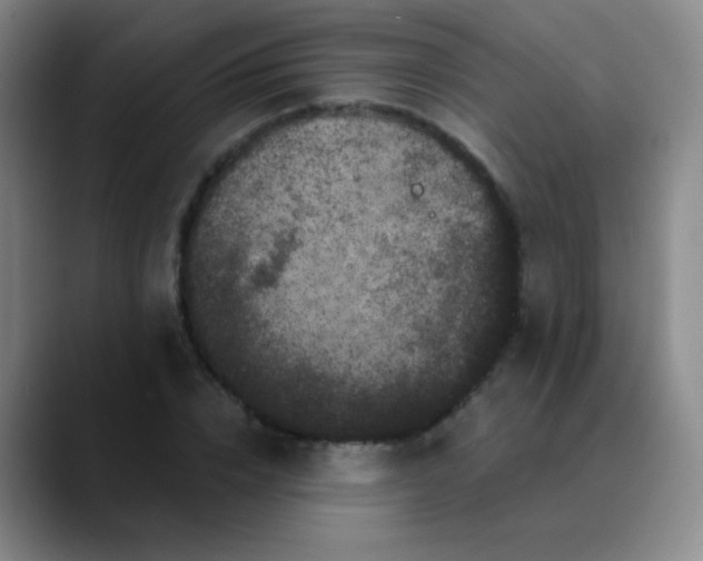 X0000089880832200707121811