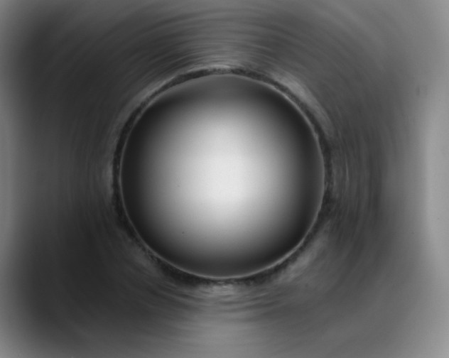 X0000089880834200707121811