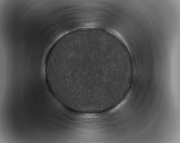 X0000089880835200707121811