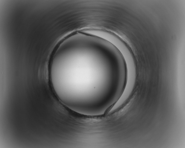 X0000089880838200707121811