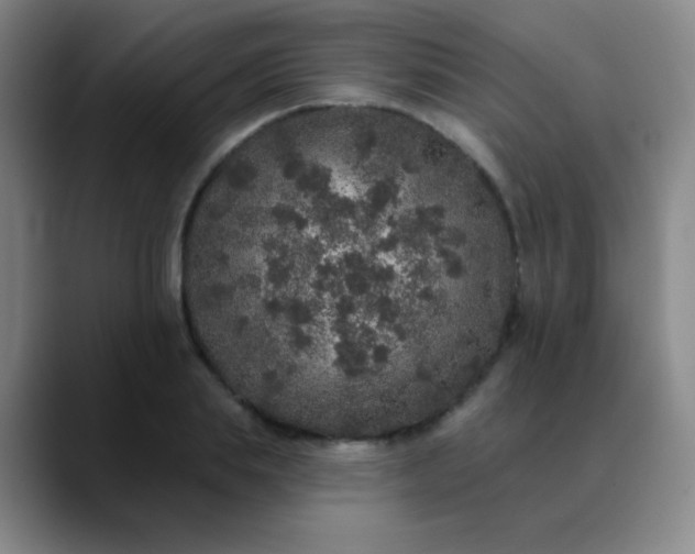 X0000089880839200707121811