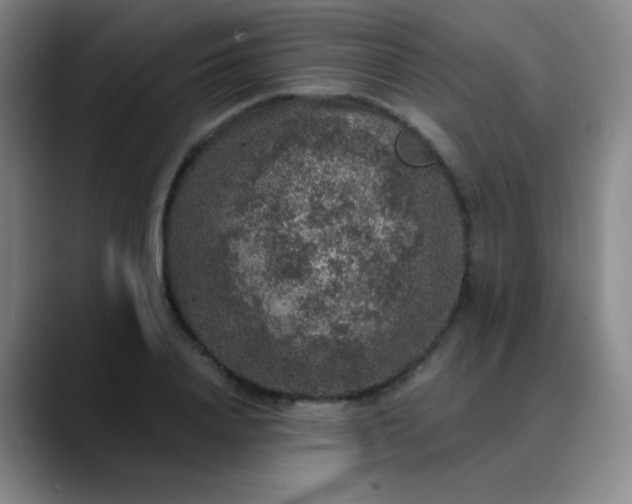 X0000089880840200707121811