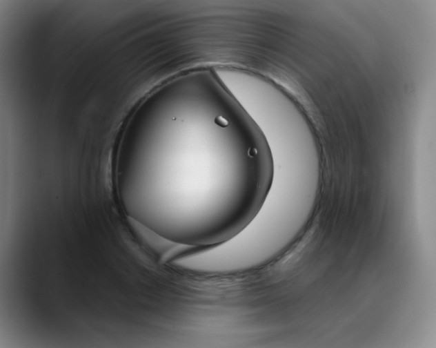 X0000089880842200707121811