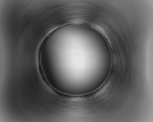 X0000089880843200707121811