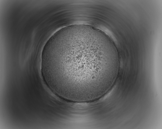 X0000089880844200707121811