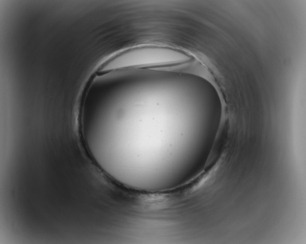 X0000089880846200707121811