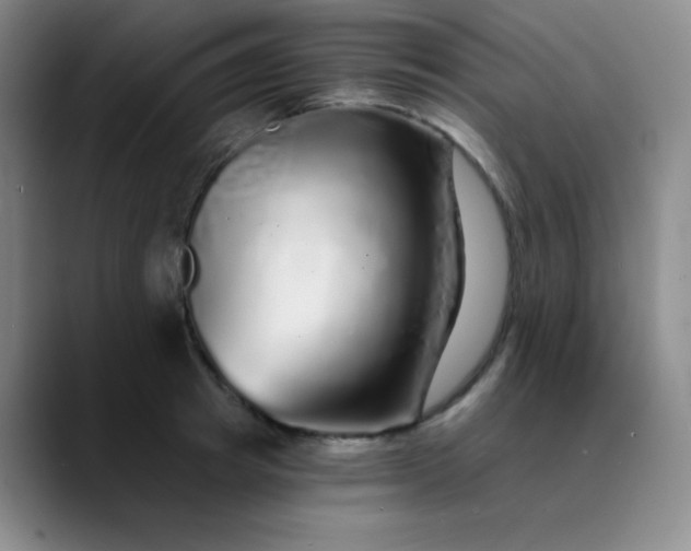 X0000089880849200707121811