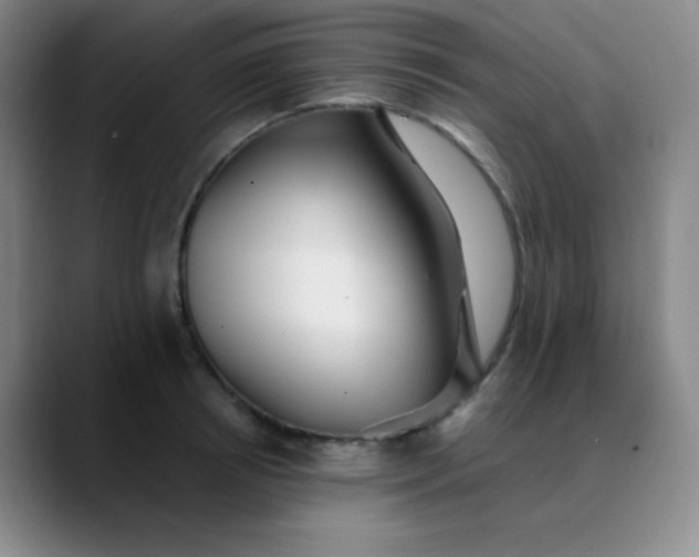 X0000089880850200707121811