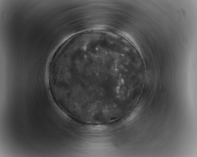 X0000089880851200707121811