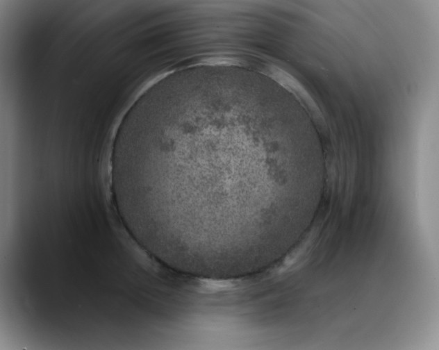 X0000089880852200707121811