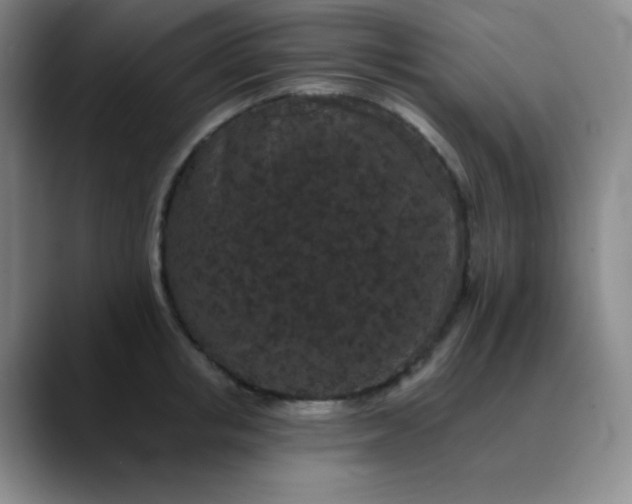 X0000089880853200707121811