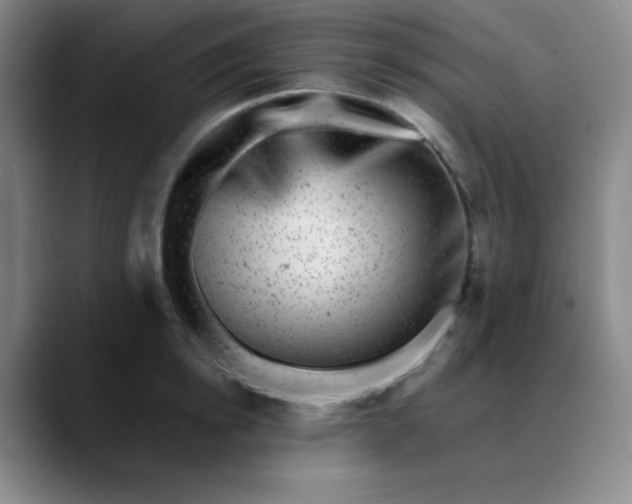 X0000089880854200707121811