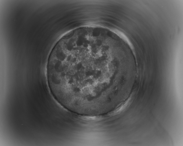 X0000089880855200707121811