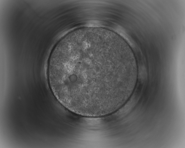 X0000089880856200707121811