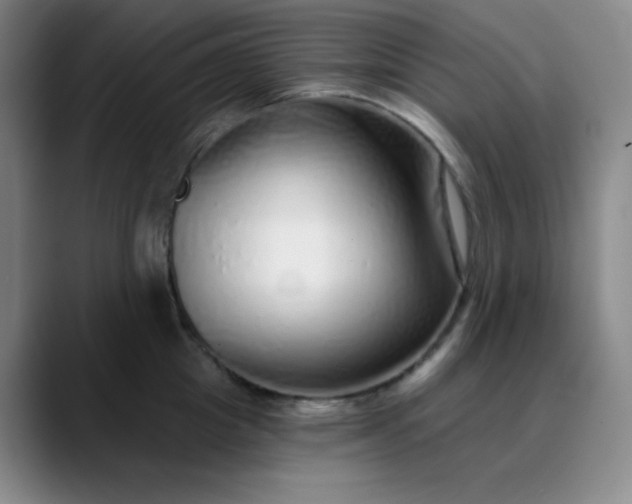 X0000089880857200707121811