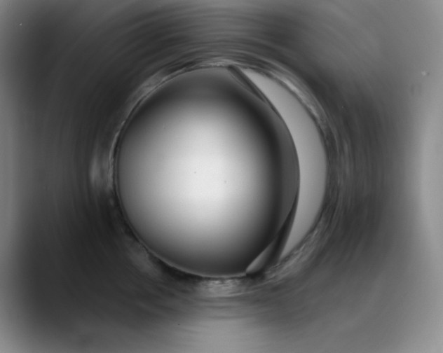 X0000089880858200707121811