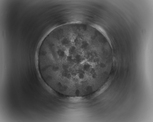 X0000089880859200707121811