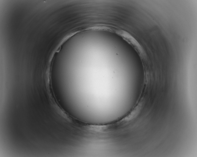 X0000089880860200707121811