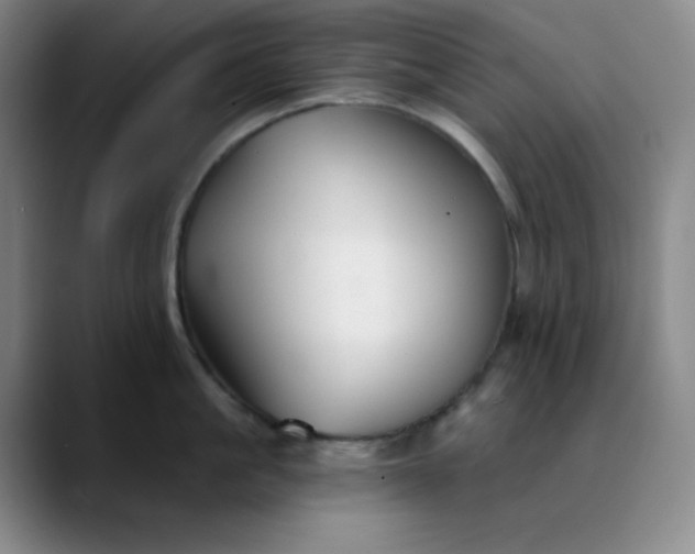 X0000089880861200707121811