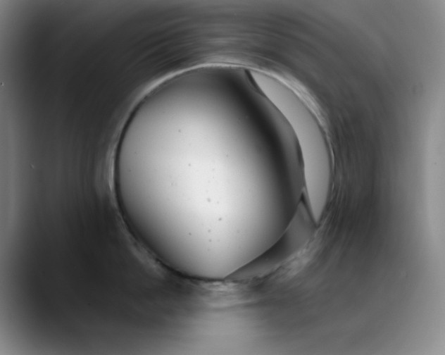 X0000089880862200707121811