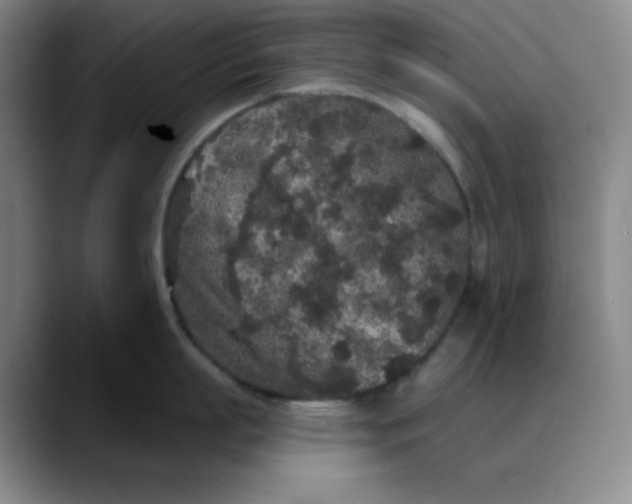 X0000089880863200707121811