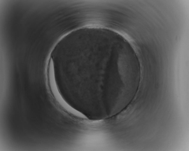 X0000089880864200707121811