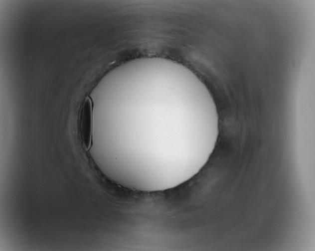 X0000089880865200707121811