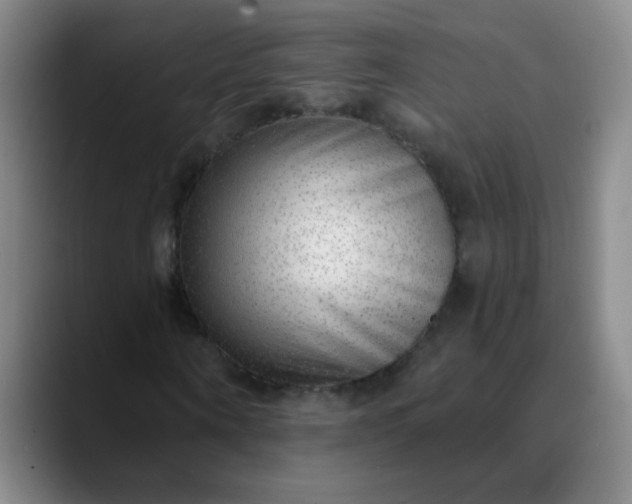 X0000089880866200707121811