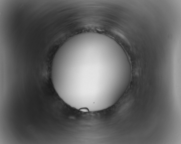 X0000089880869200707121810