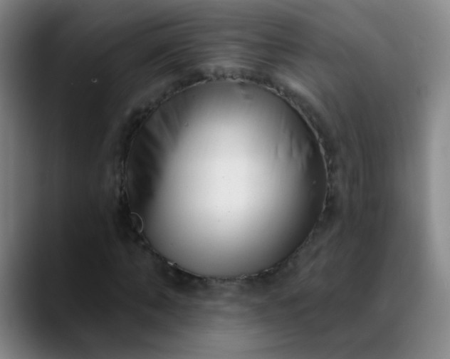 X0000089880870200707121810