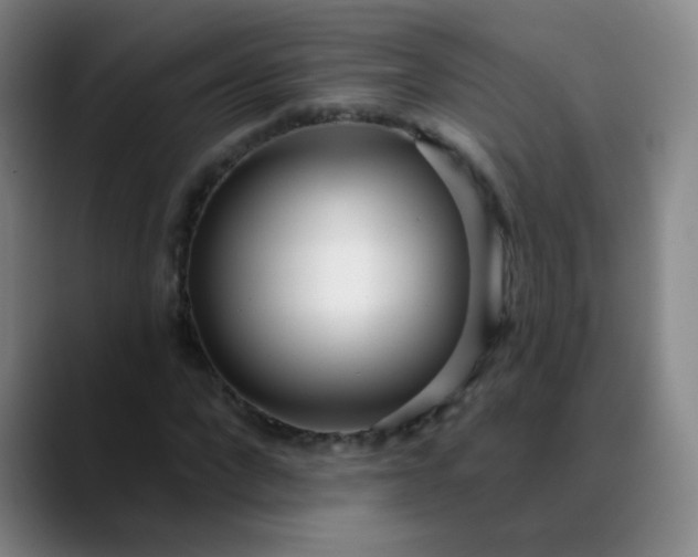 X0000089880872200707121810