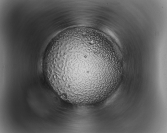 X0000089880875200707121810