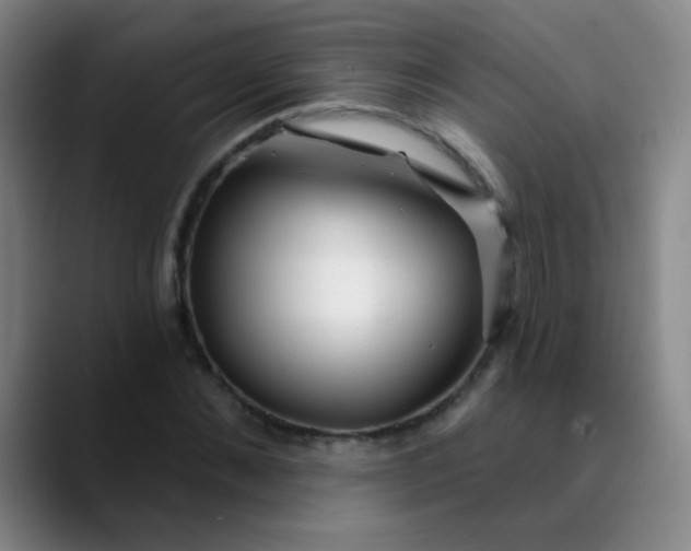 X0000089880876200707121810